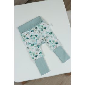 Popókörös narág - Eukaliptusz